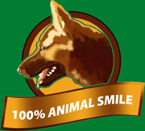 100% Animal Smile